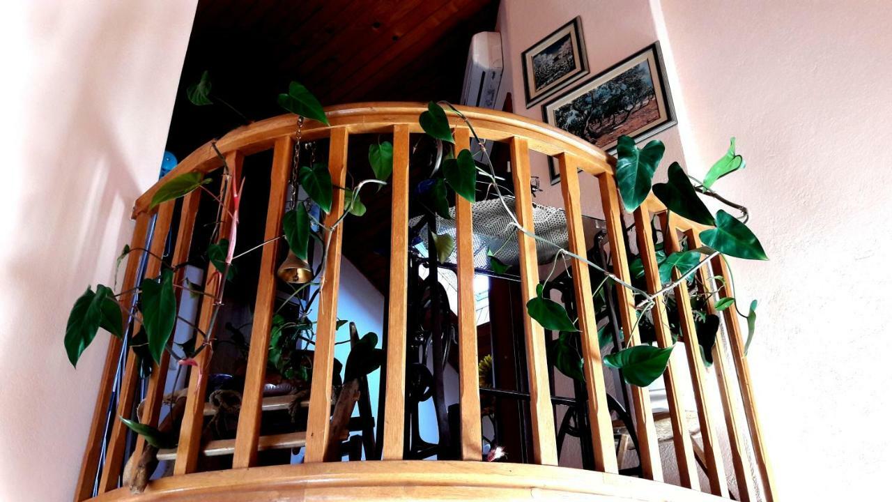 ספליט Apartment Bella Sanja מראה חיצוני תמונה